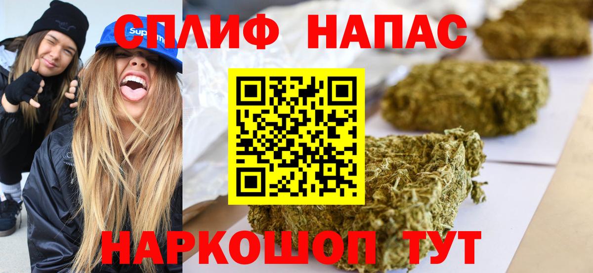 Конопля сатива Губаха